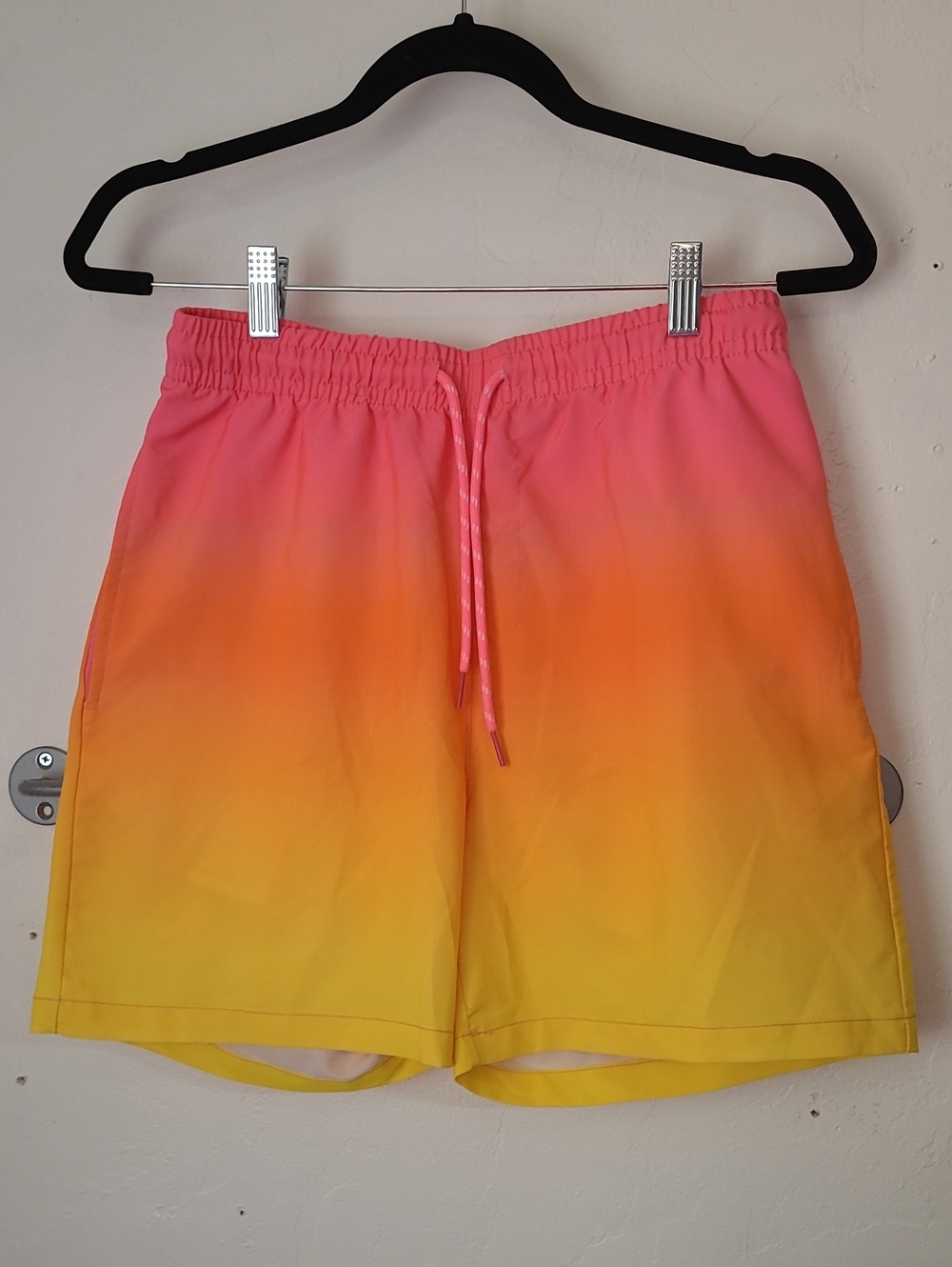 Public Record Swim Trunks